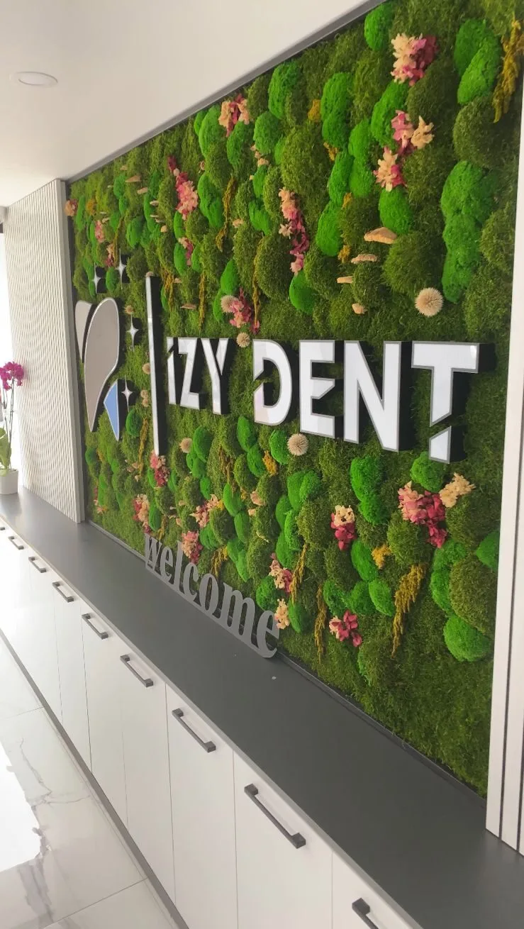 Зелёная стена с логотипом İZY DENT на ресепшене İZY Dentiste